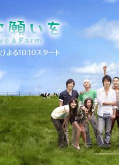 Love & Farm/向牛許願