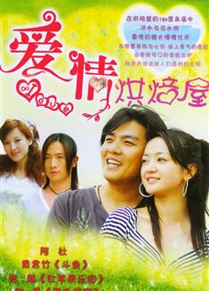 愛情烘焙屋DVD