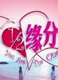 二分之一緣分you are the one